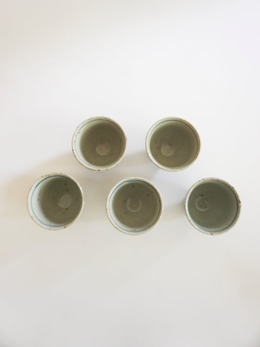 Set of 5 Cups (Sometsuke/Ten Kiln)